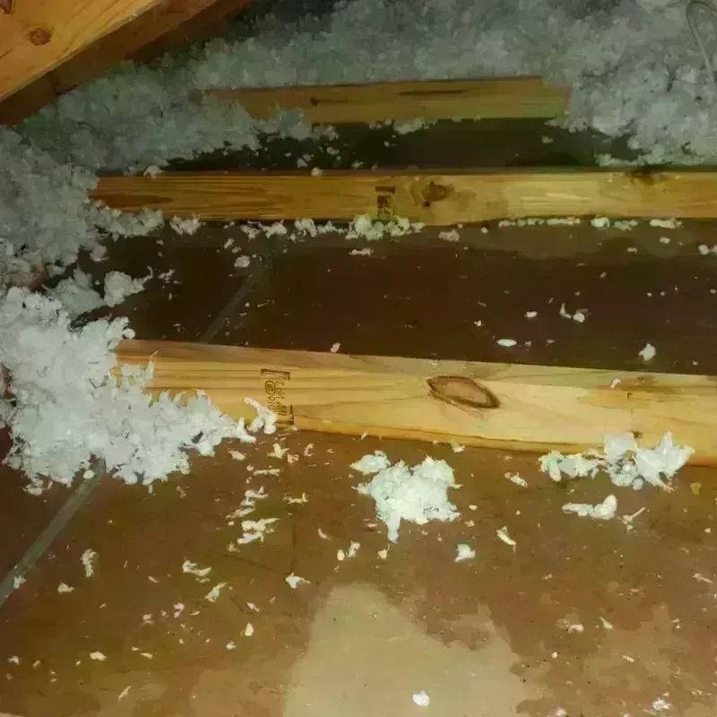 Attic Water Damage in Brewster County, TX